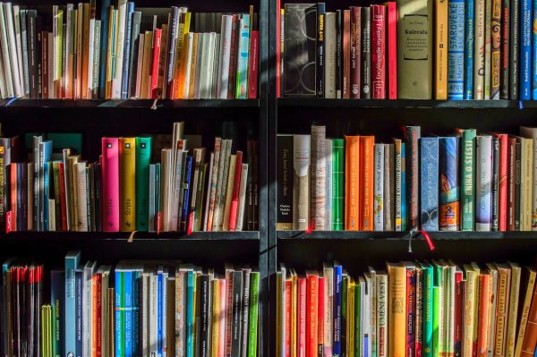 Building a Productive Team: Tips for Startup Leaders